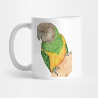 senegal parrot watercolor portrait painting of bird Mug